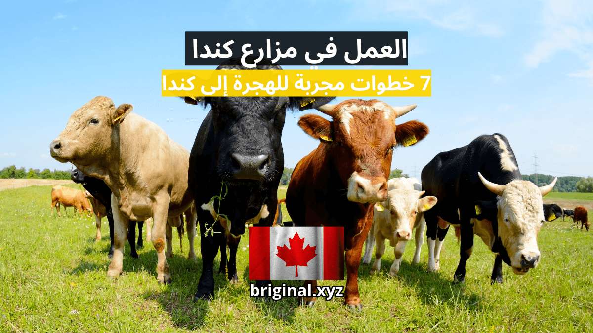 العمل في مزارع كندا