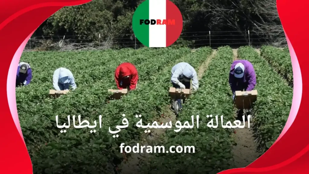 العمالة الموسمية في ايطاليا