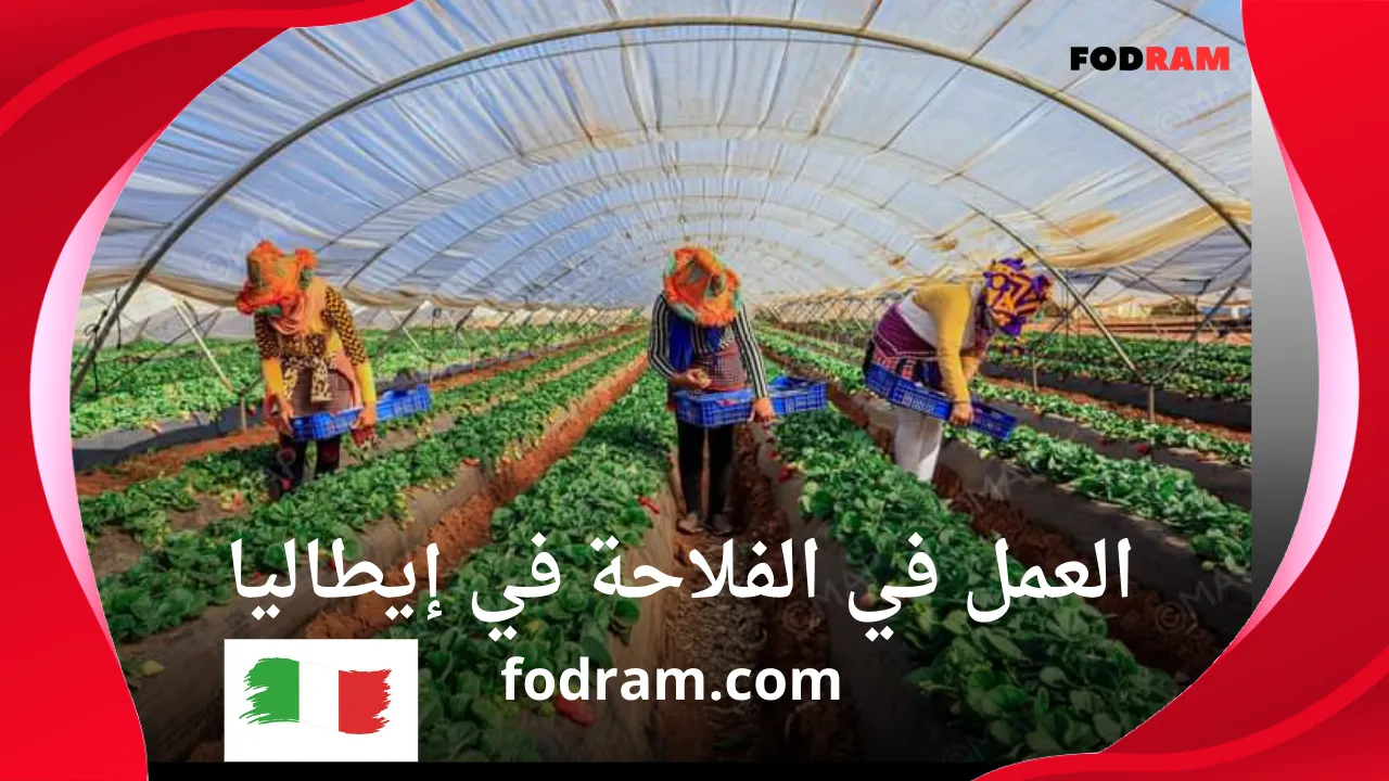 العمل في الفلاحة في إيطاليا