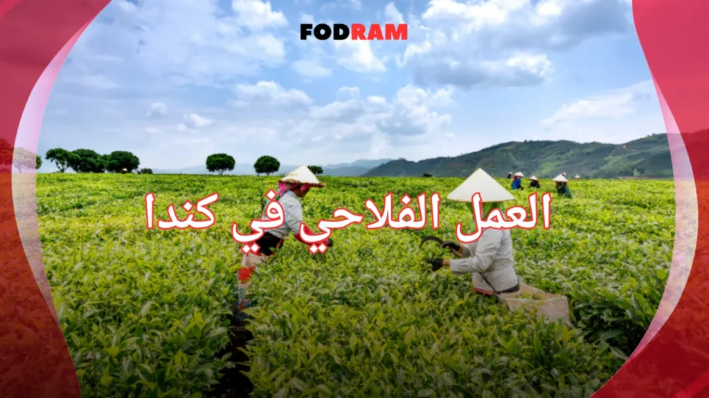 العمل الفلاحي في كندا