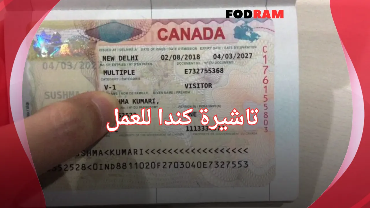 تاشيرة كندا للعمل