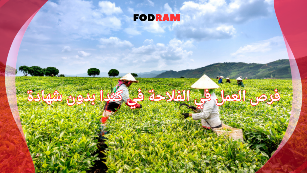 فرص العمل في الفلاحة في كندا بدون شهادة