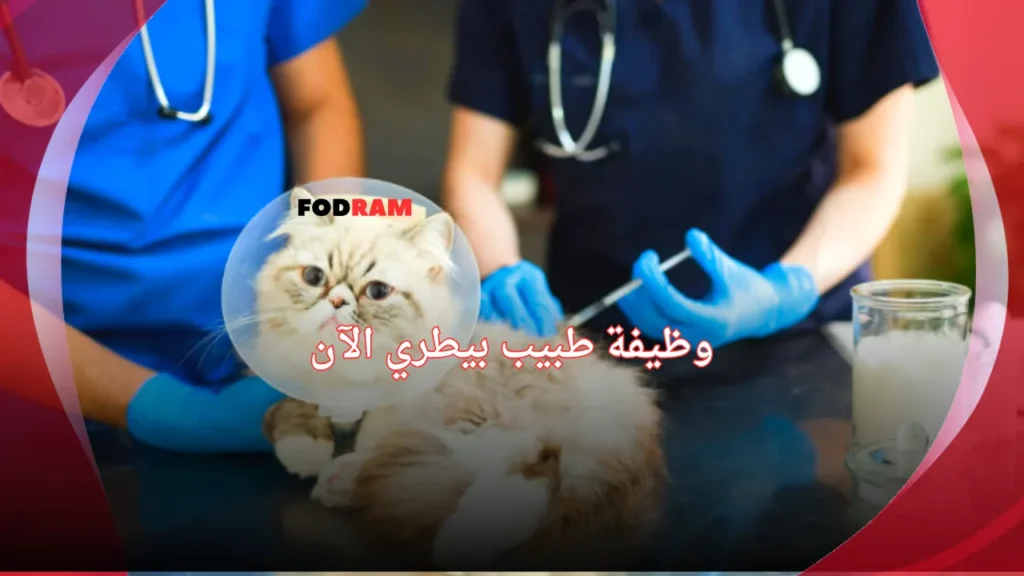 وظيفة طبيب بيطري الآن