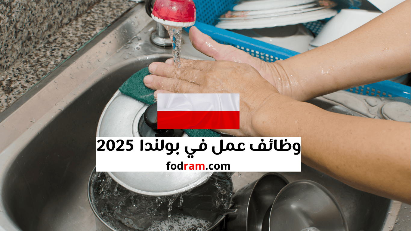 وظائف عمل في بولندا 2025: غسل الأواني