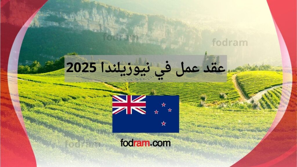 عقد عمل في نيوزيلندا 2025
