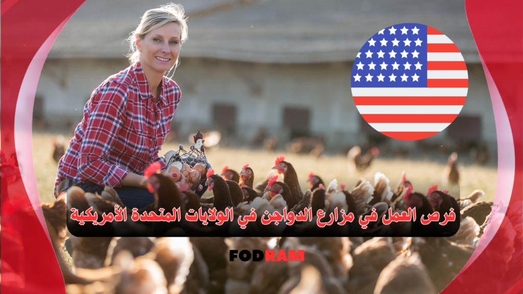 فرص العمل في مزارع الدواجن في الولايات المتحدة الأمريكية