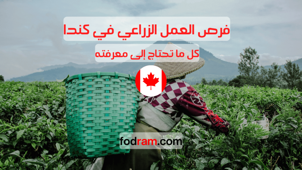 فرص العمل الزراعي في كندا كل ما تحتاج إلى معرفته