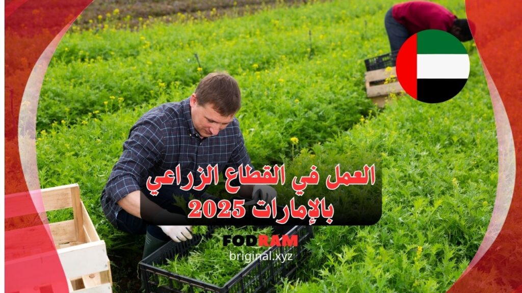 العمل في القطاع الزراعي بالإمارات 2025 الفرص والتحديات