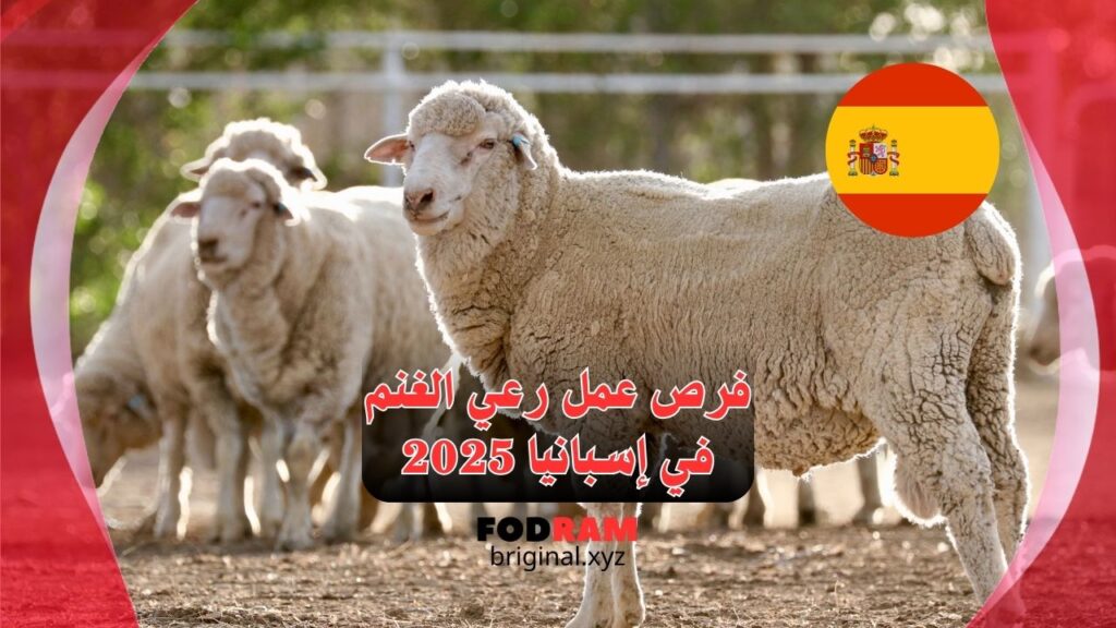 فرص عمل رعي الغنم في إسبانيا 2025