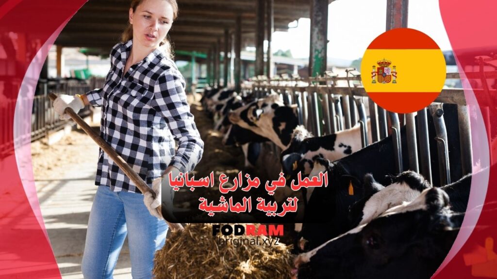 العمل في مزارع اسبانيا لتربية الماشية
