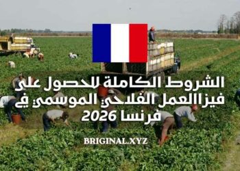 الشروط الكاملة للحصول على فيزا العمل الفلاحي الموسمي في فرنسا 2026