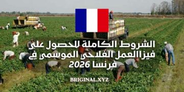 الشروط الكاملة للحصول على فيزا العمل الفلاحي الموسمي في فرنسا 2026