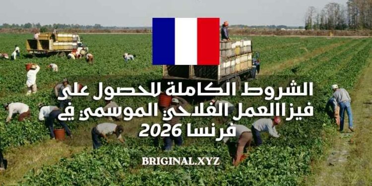 الشروط الكاملة للحصول على فيزا العمل الفلاحي الموسمي في فرنسا 2026