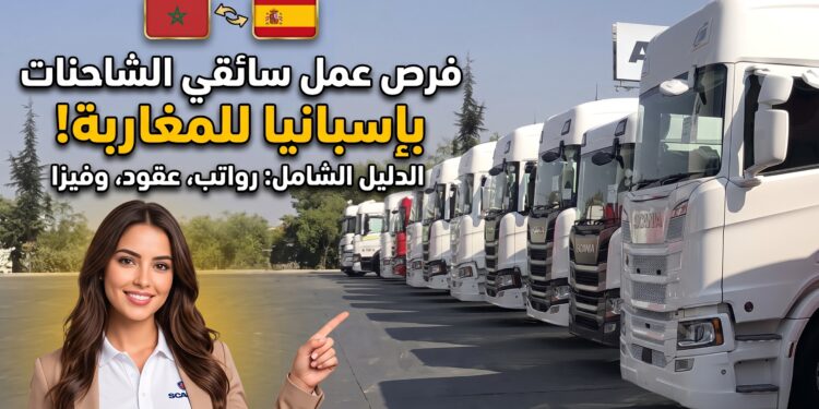 عقود عمل سائقي الشاحنات إسبانيا
