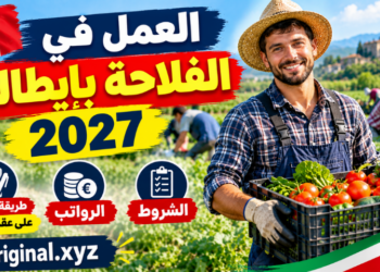العمل في الفلاحة بإيطاليا 2027: الشروط، الرواتب، وطريقة الحصول على عقد موسمي