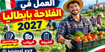 العمل في الفلاحة بإيطاليا 2027: الشروط، الرواتب، وطريقة الحصول على عقد موسمي