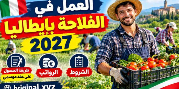 العمل في الفلاحة بإيطاليا 2027: الشروط، الرواتب، وطريقة الحصول على عقد موسمي