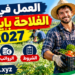 العمل في الفلاحة بإيطاليا 2027: الشروط، الرواتب، وطريقة الحصول على عقد موسمي