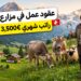 travail saisonnier ferme suisse